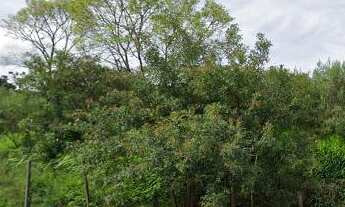 Imagem: Terreno em Interlagos, Caxias do Sul Venda