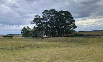 Imagem 4: Chácara Chácara com venda por R$1.300.000