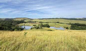 Imagem: Chácara 03 Dormitórios