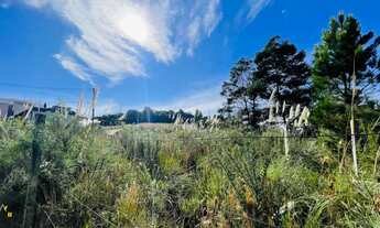 Imagem 6: Terreno Terreno / lote com venda por R$460.000