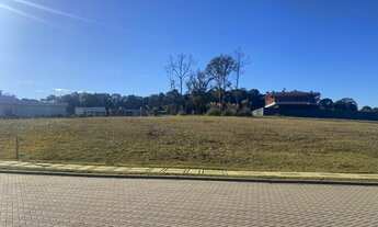 Imagem 4: Terreno | Pedancino