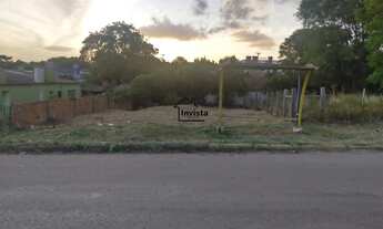 Imagem: Ótimo terreno em rua asfaltada