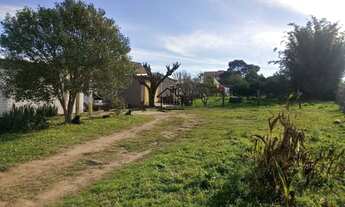 Imagem 2: Terreno com 1000m²