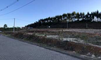 Imagem 2: Terreno em Parobé / Morro Leão