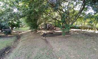 Imagem 5: Chácara - Sítio em Estância Velha / Morro Agudo