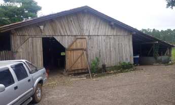 Imagem: Chácara - Sítio em Estância Velha / Morro