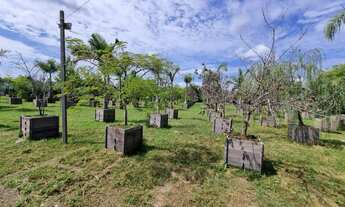 Imagem 2: Área de terras - Bairro Lira - Estância Velha