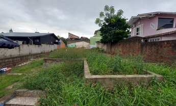 Imagem 7: Terreno - Bairro Estação Portão - Portão