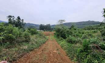 Imagem 3: Área de Terras - Morro do Pedro - Presidente Lucena