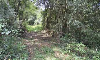 Imagem: Área de terras - Bairro Floresta - Estância