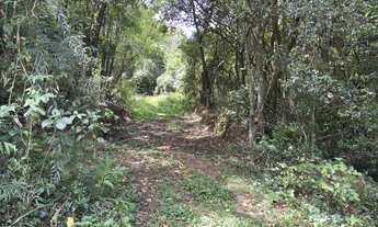 Imagem 2: Área de terras - Bairro Floresta - Estância Velha