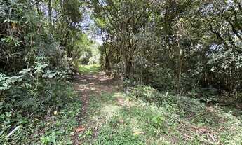 Imagem 3: Área de terras - Bairro Floresta - Estância Velha