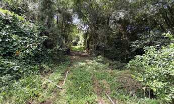 Imagem 4: Área de terras - Bairro Floresta - Estância Velha