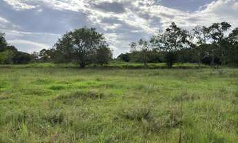 Imagem 6: Terreno - Bairro Campo Grande - Estância Velha