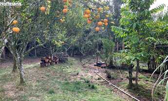 Imagem 2: Chácara / Sítio - Bairro Sertão Capivara - Portão