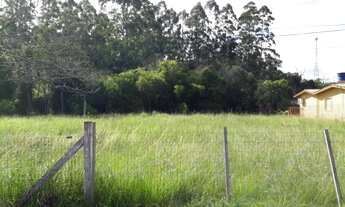 Imagem 3: Terreno - Bairro Lomba Grande - Novo Hamburgo/RS