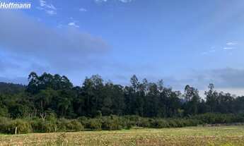 Imagem: Área de terras - Bairro campestre - São