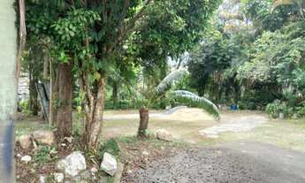 Imagem: Terreno Built to Suit 30 x 100 no Morro