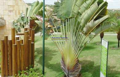 Imagem 2: 20M² de Área Total