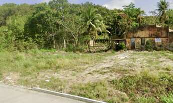 Imagem 2: Macaiba, 600000M² de Área Total