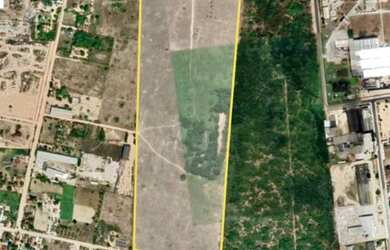 Imagem 2: Macaiba, 25M² de Área Total