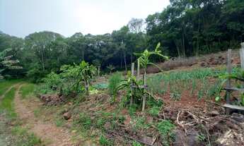Imagem: Área de Terra na Linha Bohemios em Farroupilha/RS