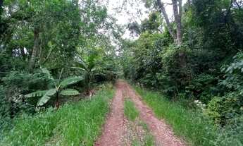 Imagem 2: Área de Terra na Linha Bohemios em Farroupilha/RS