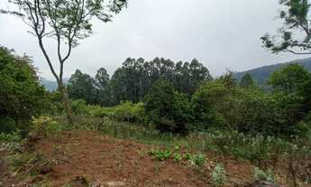 Imagem 6: Área de Terra na Linha Bohemios em Farroupilha/RS