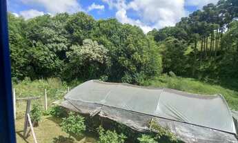 Imagem 7: Casa em Caravaggio - Farroupilha/RS