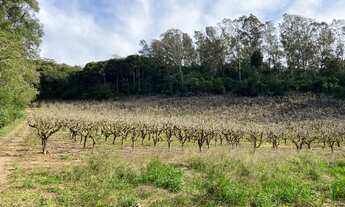 Imagem: Área de Terra em Santos Anjos em Farroupilha/RS