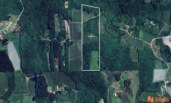 Imagem: Área de Terras na Linha Palmeiro/Julieta