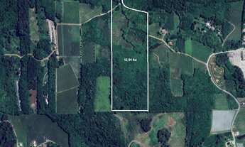 Imagem: Área de Terras na Linha Palmeiro/Julieta