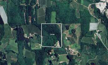 Imagem: Área de Terras na Linha Palmeiro/Julieta