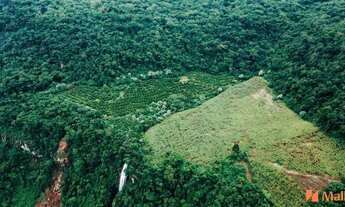 Imagem 2: Área de Terra em Vale Real/RS