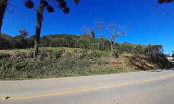 Imagem: Área Rural na Linha Caçador em Farroupilha/RS