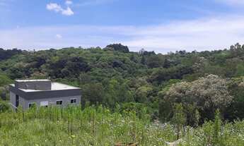 Imagem 3: Terreno no Bairro Primeiro de Maio em Farroupilha/RS