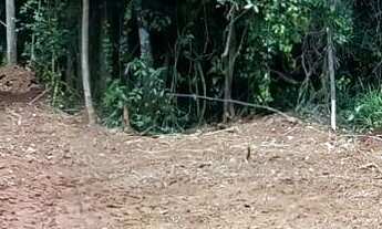 Imagem: Área de Terra em Alto Feliz/RS