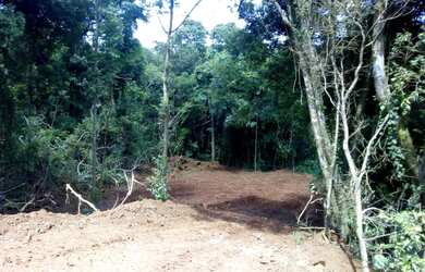 Imagem 2: Área de Terra em Alto Feliz/RS