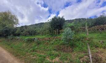 Imagem: Àrea de terra em Linha Machadinho em Farroupilha