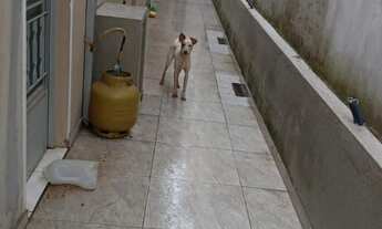 Imagem 5: Casa - Venda][Jd São Leopoldo