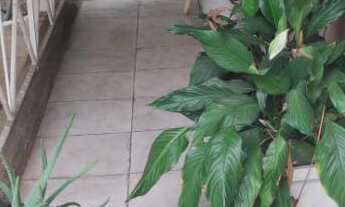 Imagem 7: Casa à venda em São José dos Campos, Centro - Churrasqueira inclusa