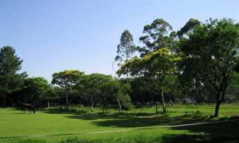 Imagem 5: HARAS ,PORTO ALEGRE