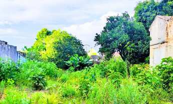 Imagem 3: TERRENO COMERCIAL NO BAIRRO IGARA