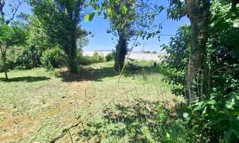 Imagem 4: Terreno no bairro Olaria