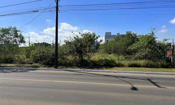 Imagem 1: Excelentes lotes 12 x 30m, Av Açucena