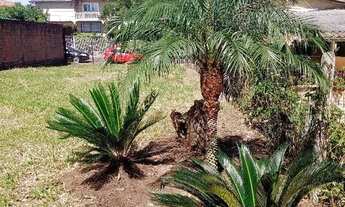 Imagem 2: TERRENO COM 306,90 M² NO SÃO JOSÉ EM CANOAS