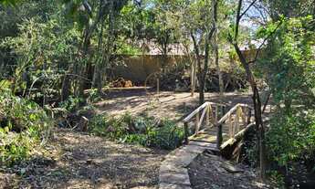 Imagem 2: Terreno com 994 m², no Olaria, em Canoas