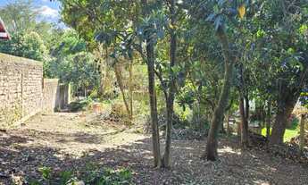 Imagem 7: Terreno com 994 m², no Olaria, em Canoas