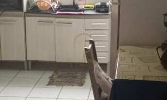 Imagem 7: Apartamento 03 dormitórios com vaga para Veículos no bairro Igara