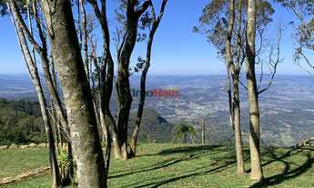 Imagem: Área rural com 4 hectares a venda em Igrejinha